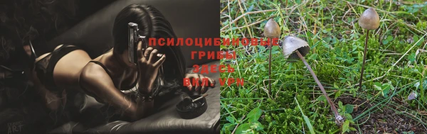 меф Калининец