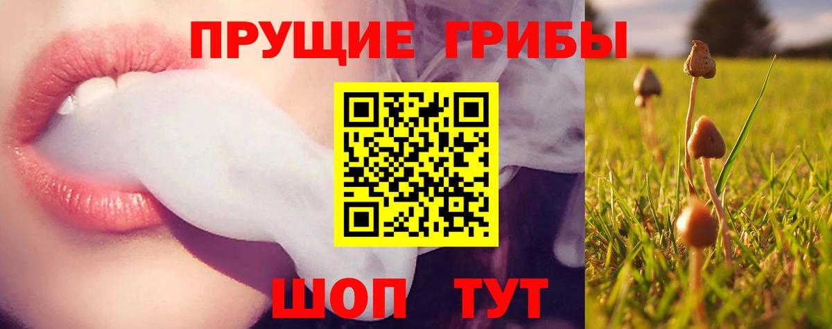Псилоцибиновые грибы Magic Shrooms Азов